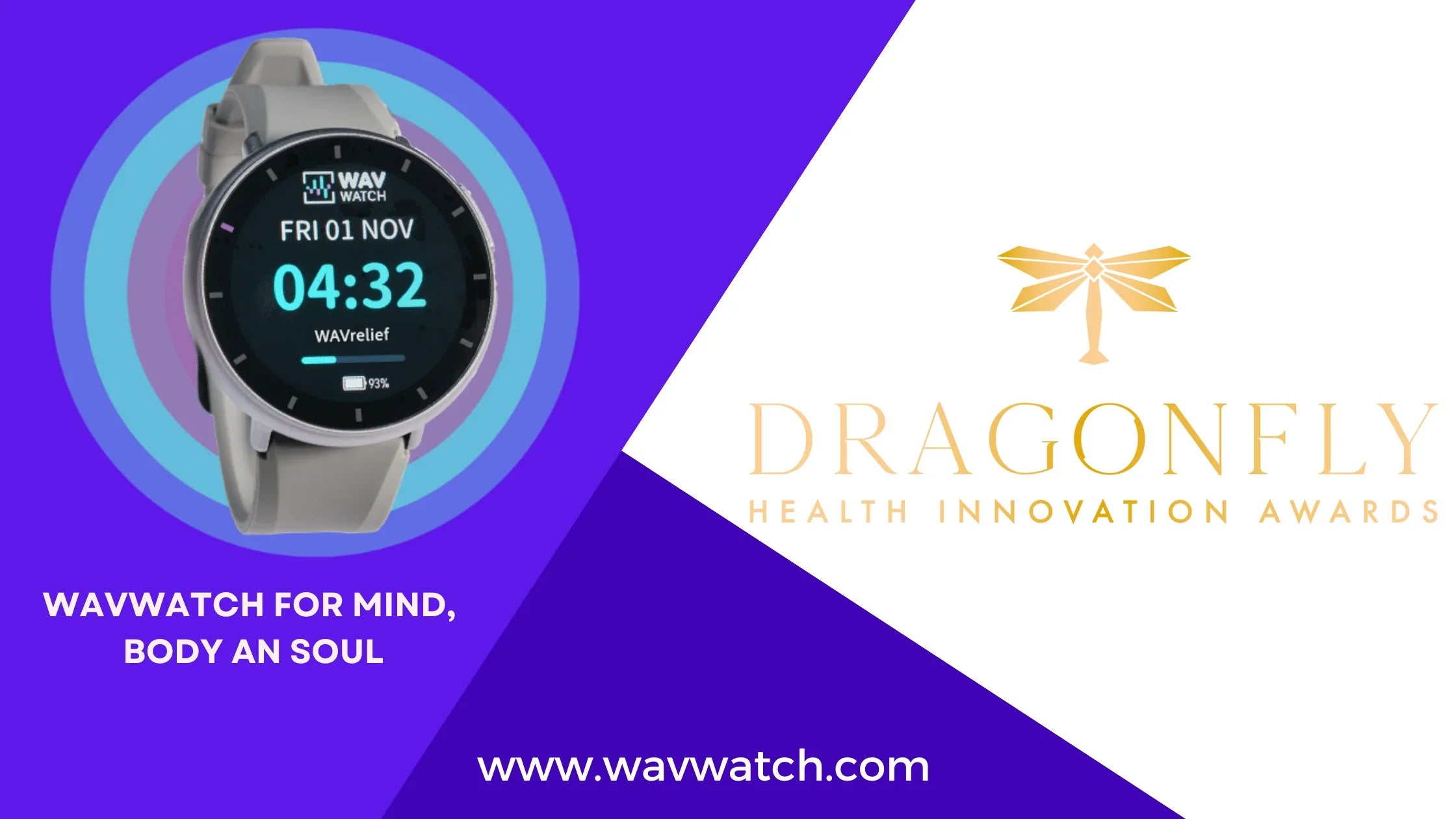 Graphic of WAVwatch and Dragonfly Logo