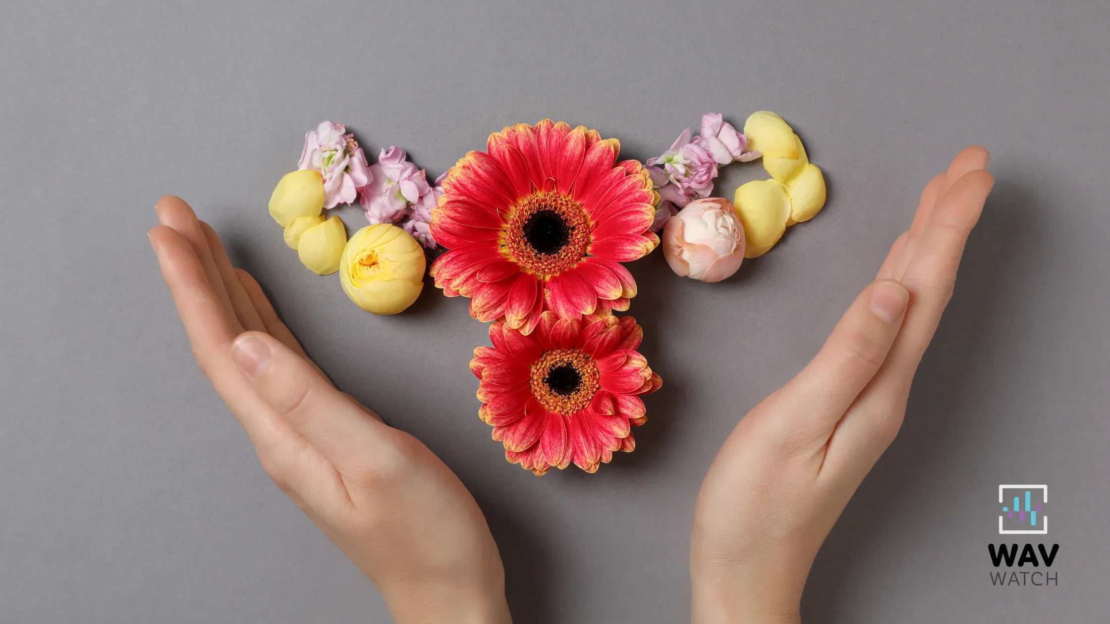Image of Hands and Flowers Representing Menopause Self-Care