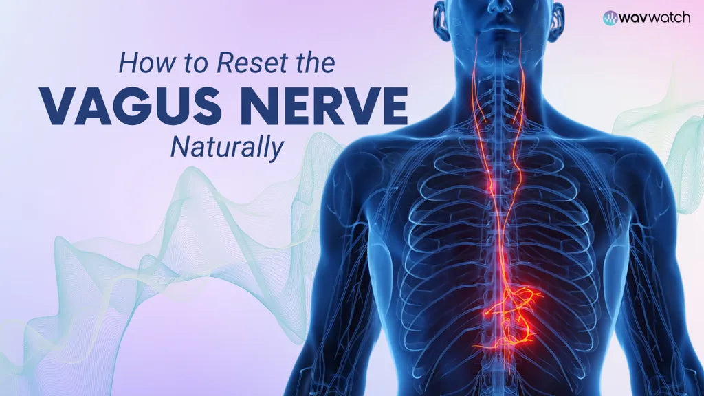 Graphic Image of the Vagus Nerve