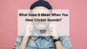 How To Get Rid of the Cricket Sound In-Ear Naturally