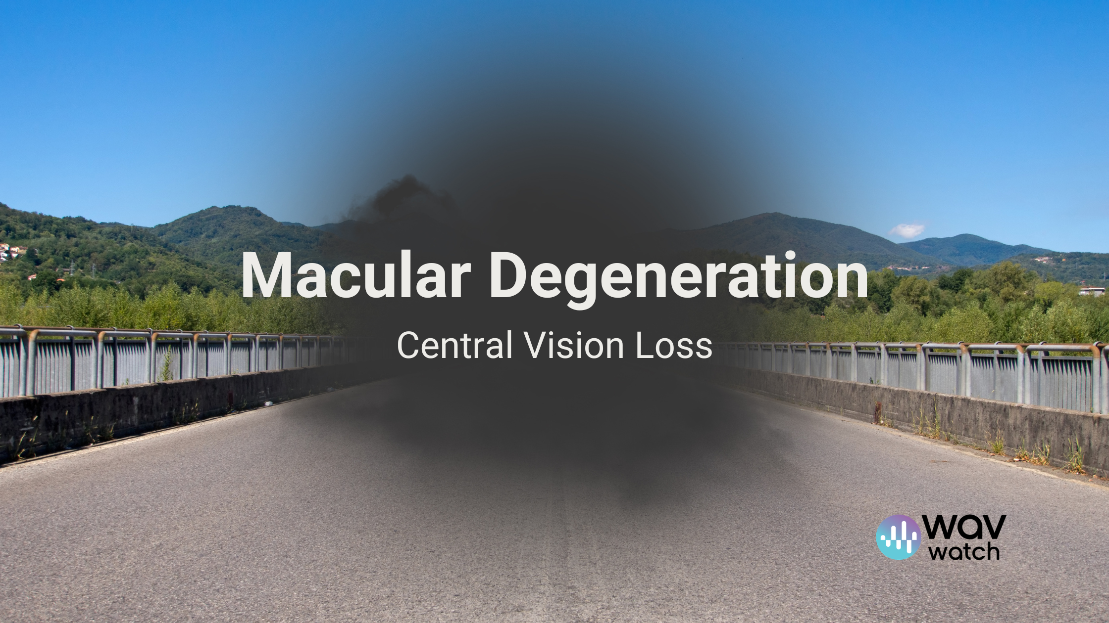Image of what macular degeneration looks like from the inside
