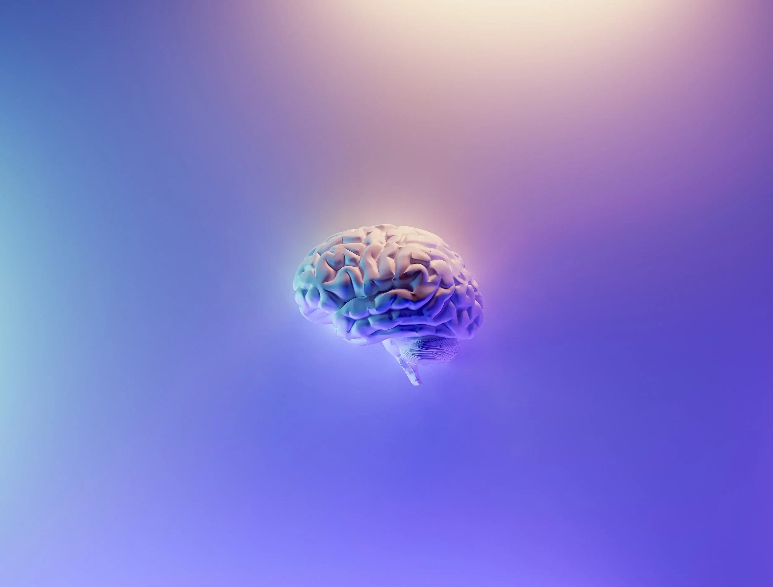 Rendering of a Healthy Brain