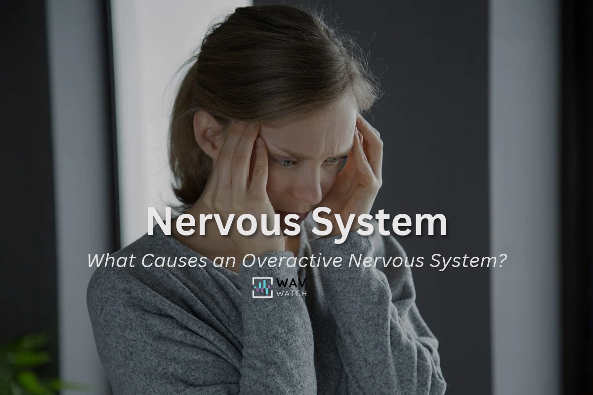 What Causes an Overactive Nervous System?