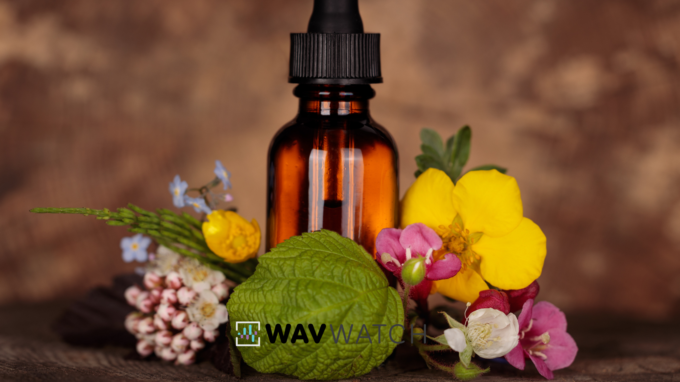 Image of Various Flowers used in Bach Flower Remedies