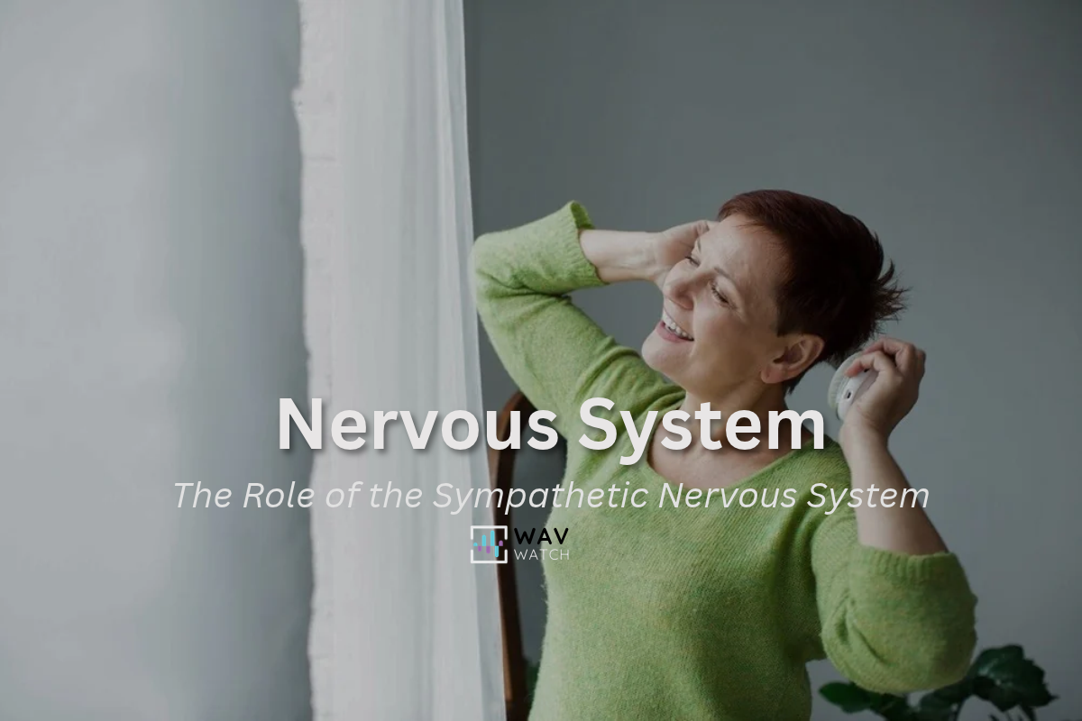 The Role of the Sympathetic Nervous System