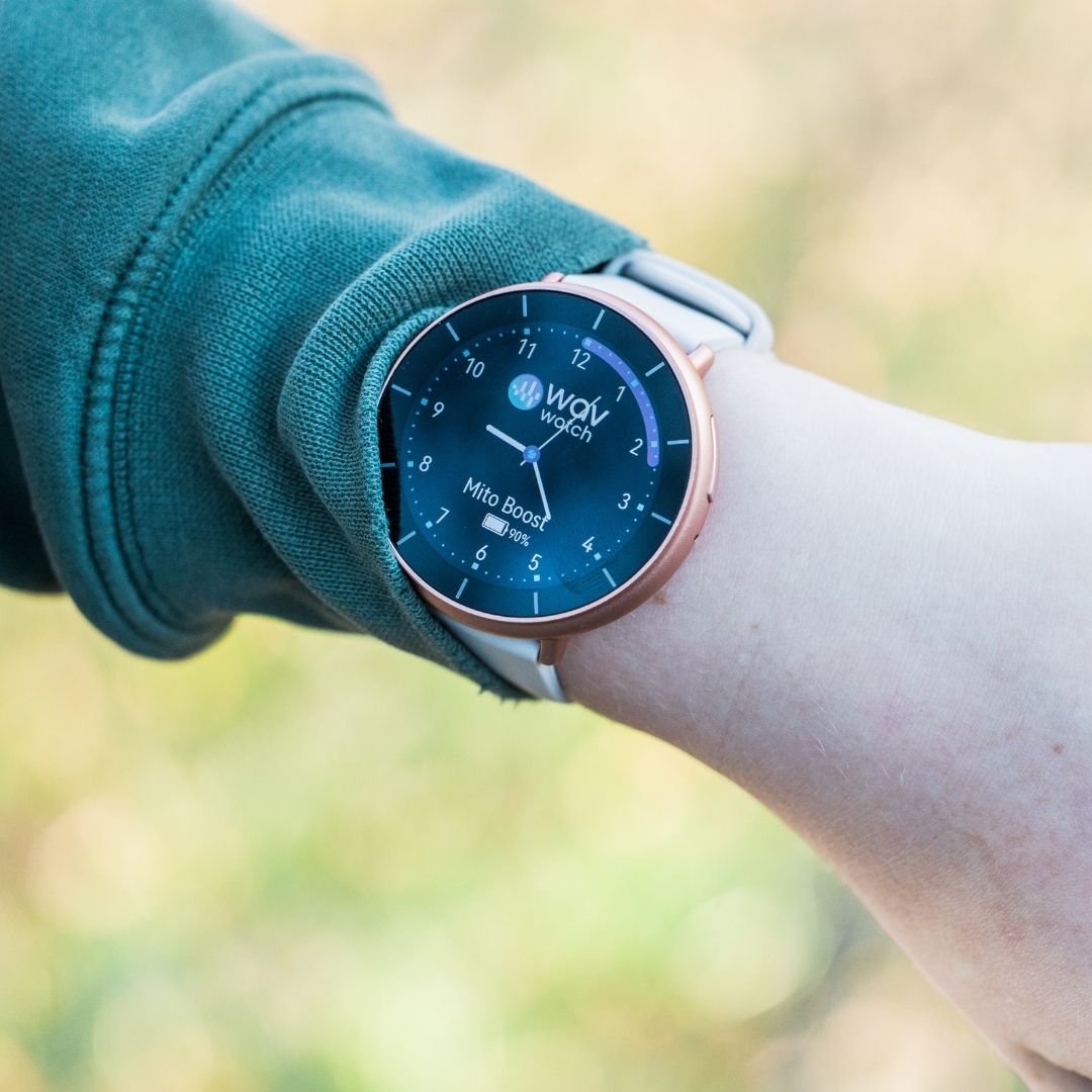 WAVwatch 2.2 Preorder